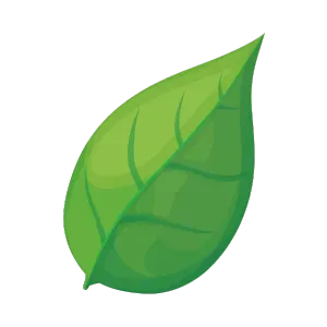 Illustration of a green leaf with visible veins, representing nature and plant life, possibly related to lawn care in Oviedo, FL.
