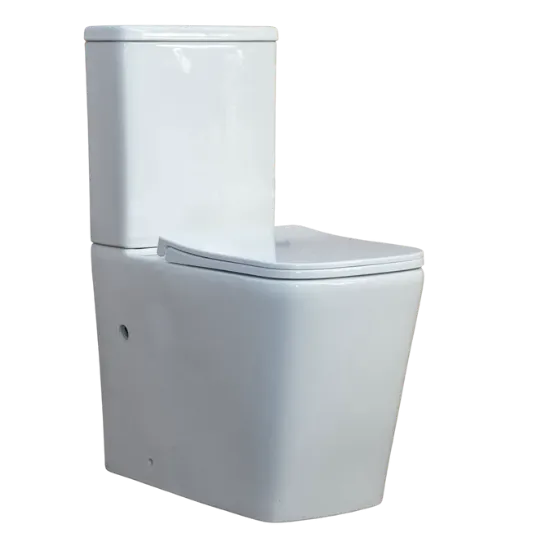 Modern white toilet. Toilet repair and replacement services available in Oviedo, FL.