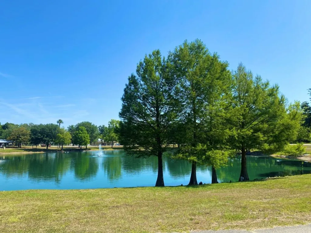 Scenic lake view with fountain and trees in Oviedo, FL, Electrical lines are often situated near such locations.